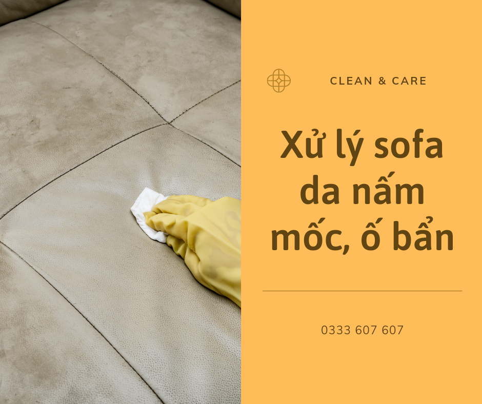 3 cách xử lý nấm mốc trên sofa da hiệu quả ngay tại nhà